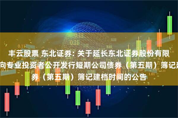 丰云股票 东北证券: 关于延长东北证券股份有限公司2025年面向专业投资者公开发行短期公司债券（第五期）簿记建档时间的公告