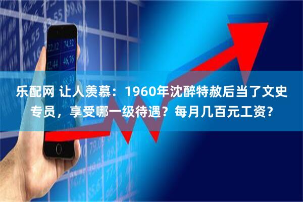 乐配网 让人羡慕：1960年沈醉特赦后当了文史专员，享受哪一级待遇？每月几百元工资？